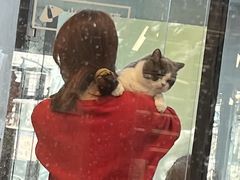 -PETKIT 小佩宠物·低压洗护·美容·寄养(安远店)