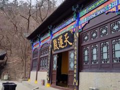 -石老人观光园