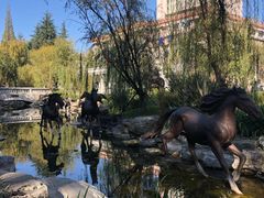 -云南省图书馆