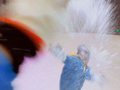 -宁波冰雪大世界(北仑区)