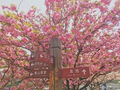 -白马涧龙池景区