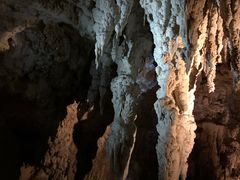 -怀托摩萤火虫洞