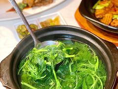 -荟廷·晶萃(陆家嘴尚悦湾店)