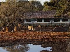 -沈阳森林动物园