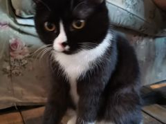 -么么咖啡(燕郊店)