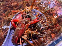 -聚盛源蒸汽海鲜火锅烤肉自助(巨川金海岸购物广场店)