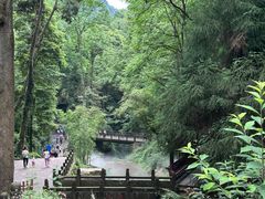 -青城山