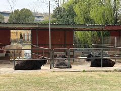 -上海佘山世茂艾美酒店