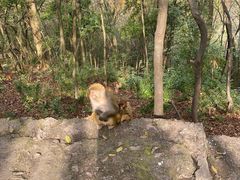 -黔灵山公园