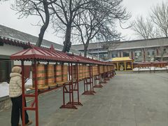 -护国法轮寺