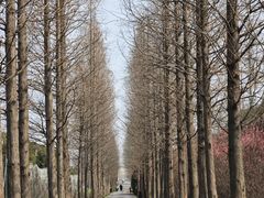 -广富林郊野公园