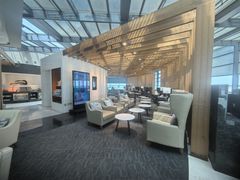 -虹桥机场国航贵宾室v8