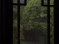 -采蝶轩