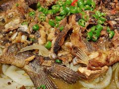 -老板恋上鱼(恒隆广场店)