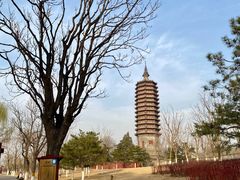 -西海子公园