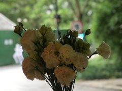 -春暖花开(西溪店)