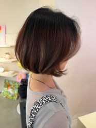 -SALON DE VANHADA