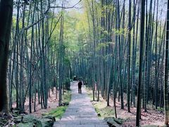 -杭州黄龙洞