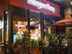 门面-哈根达斯(龙湖时代天街店)