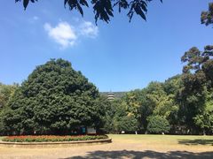-灵谷景区