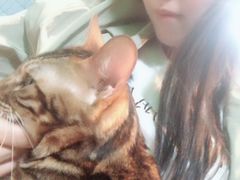 -李小姐の猫咖啡馆(五角场店)