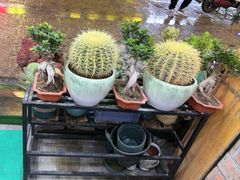 -老姐石板烧烤+铜炭火锅(总店)
