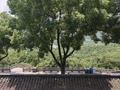 -苏州上方山国家森林公园