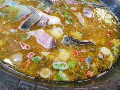 -鲜椒鱼·雅安地标性美食