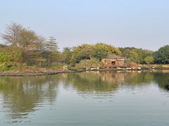 -海珠湖公园