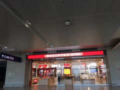 -上海浦东国际机场-T2航站楼
