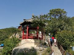 -双新垂钓园