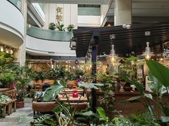 -大书房咖啡(中传国交店)