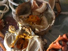 -黄记大闸蟹专卖店·活蟹·醉蟹