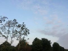 -呼吸森林·生态农庄农家乐私房菜