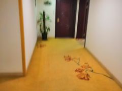 -维也纳国际酒店·上海虹桥火车站国家会展中心店