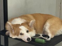 -花十悦·鲜花咖啡餐厅(振业城一期店)