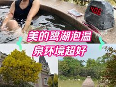 -美的鹭湖森林度假区