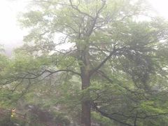 iphone_upload_pic-大明山自然探索公园