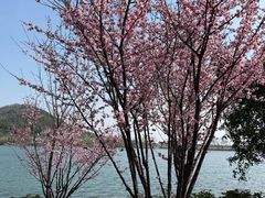 -南北湖风景区