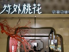 门面-竹外桃花·江南小酒馆(SKP·S店)