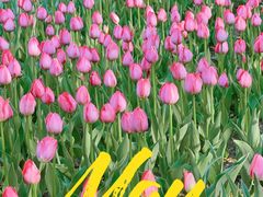 -长春公园(普阳街道)