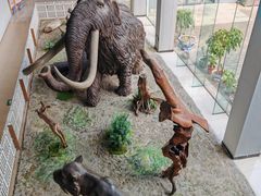 -中国第四纪冰川遗迹陈列馆