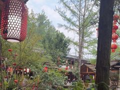 -青城甲(青城山店)