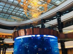 -OPEN開全日自助餐厅·牛肉火锅·海鲜(佛山希尔顿酒店)