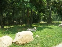 -西安秦岭野生动物园