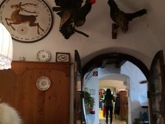 -布劳伽斯特豪夫哈尔施塔特宾馆