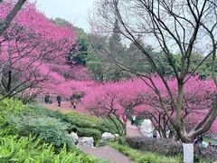 -重庆彩云湖湿地公园