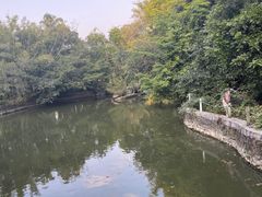 -广西壮族自治区药用植物园