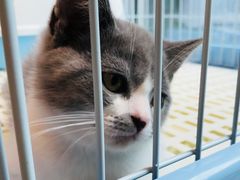 -猫的天空之城概念书店(北戴河蔚蓝海岸店)