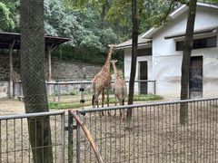 -杭州动物园